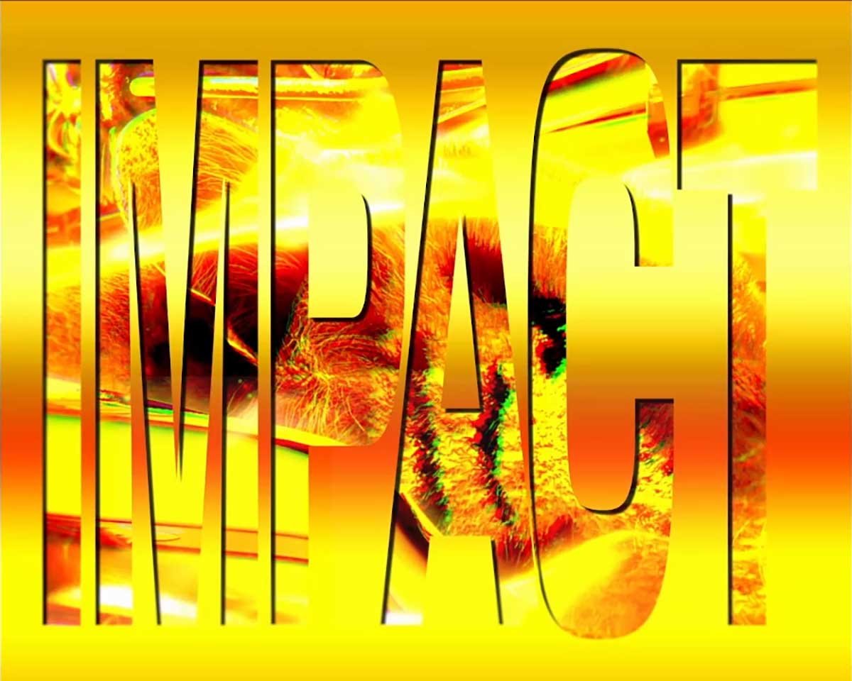 真打 吉宗　月下ノ花道　W家紋インパクト