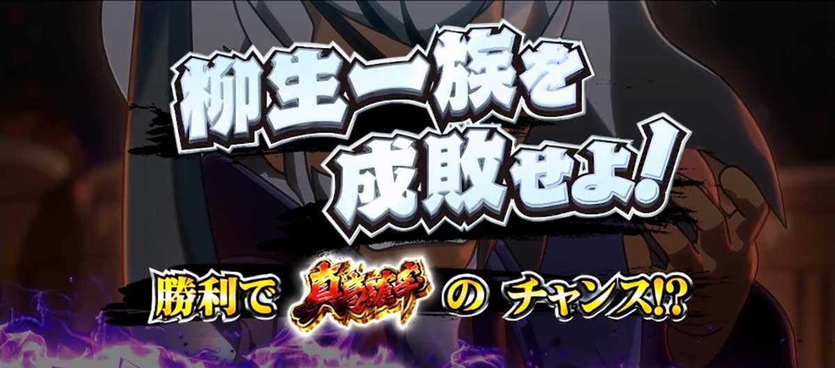 真打 吉宗　対戦相手　柳生