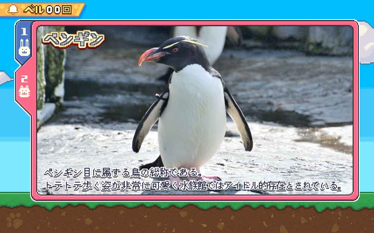 アニマルスロット ドッチ　REG　実写ペンギン