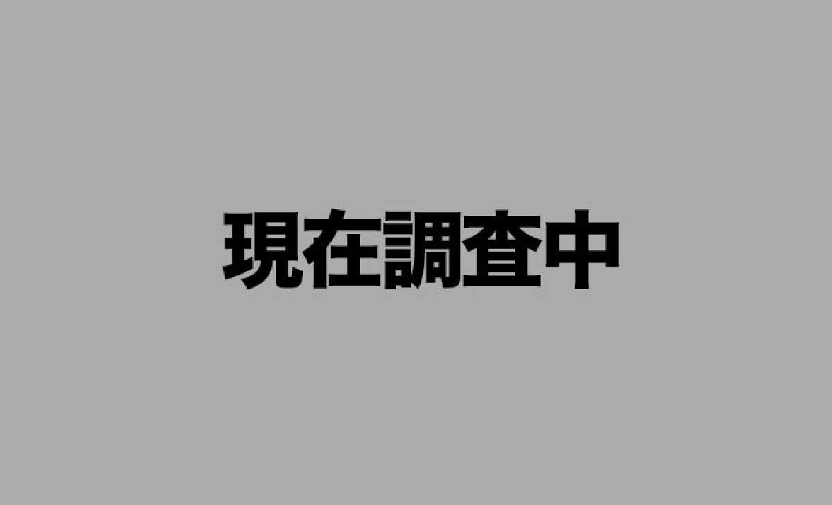 Lパチスロ からくりサーカス2　CZ終了画面　才賀アンジェリーナ（笑顔）