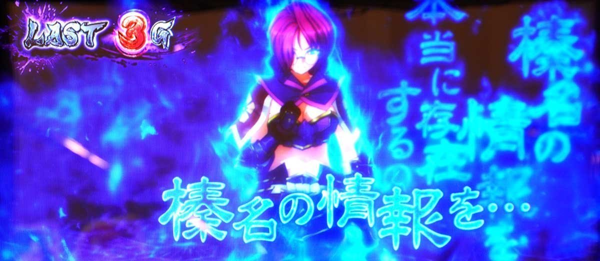 L戦国乙女5 業火を穿つ宿焔の双刃　繚乱の刻　紫炎