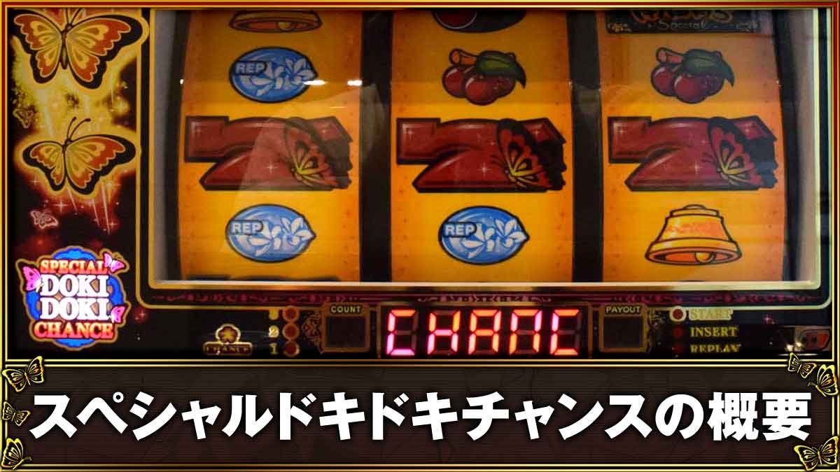 L南国育ち SPECIAL　スペシャルドキドキチャンス