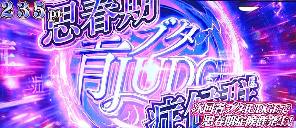 L青春ブタ野郎はバニーガール先輩の夢を見ない　ドリームコレクション　11セット　思春期症候群をストック