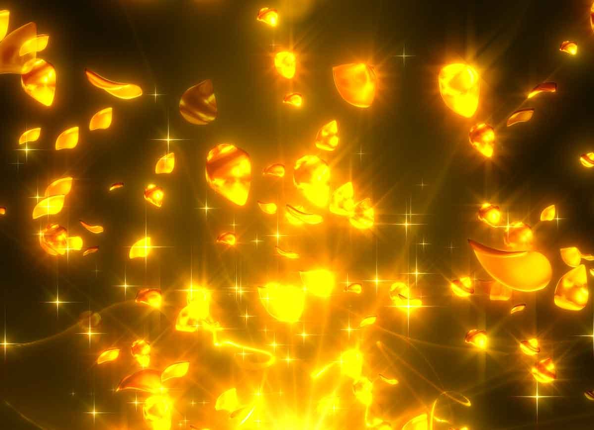e タクトオーパスデスティニー　演出カスタム　通常時　薔薇告知　金バラ