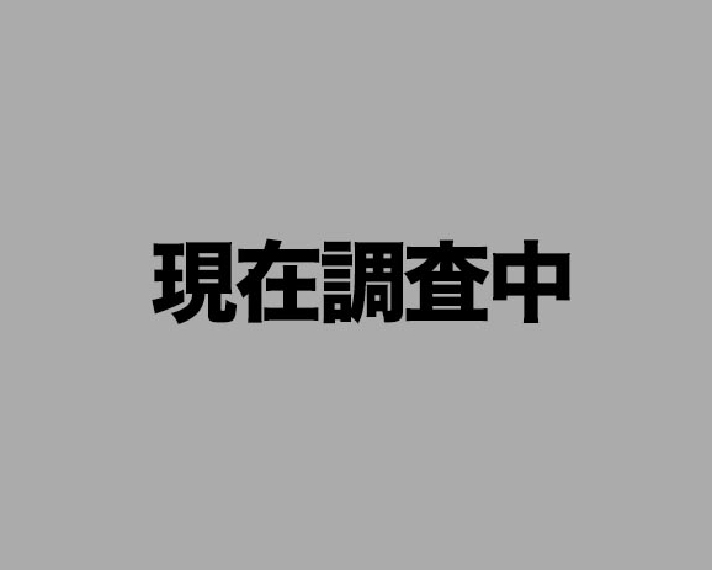 Lパチスロ機動戦士ガンダムSEED　枠色なし「キャラなし」（CZのみ出現）