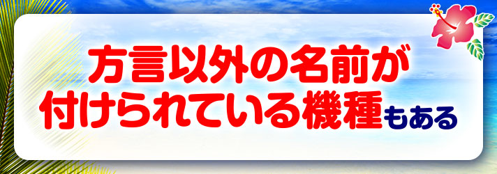 沖縄の方言　方言以外の名前が付けられている機種もある